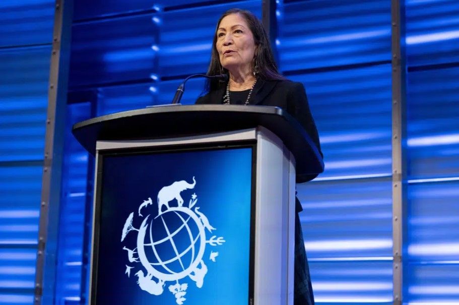 Interior Secretary Deb Haaland announces that her agency will work to restore more large bison herds during a speech for World Wildlife Day at the National Geographic Society in Washington, Friday, March 3, 2023. / AP Photo by Andrew Harnik